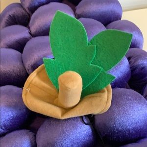 Dog costume- bunch of purple grapes XL